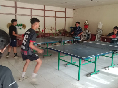TENIS MEJA
